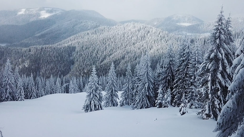 Rabatt på nytt elavtal + få skidmössa!