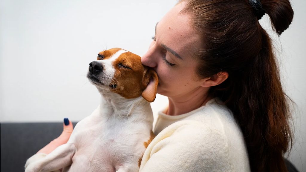 Försäkringar för hund och katt