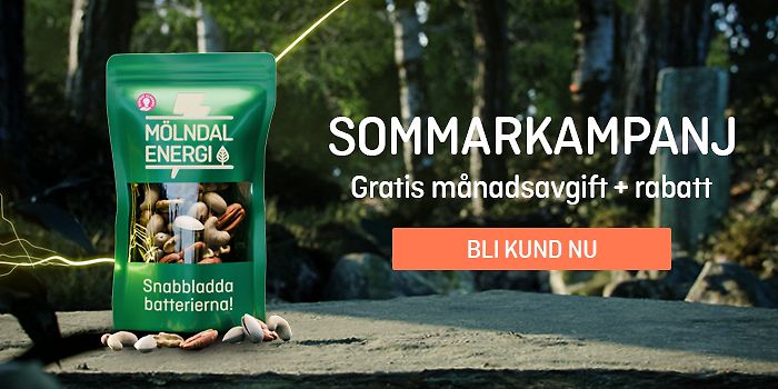 Gratis månadsavgift + rabatt
