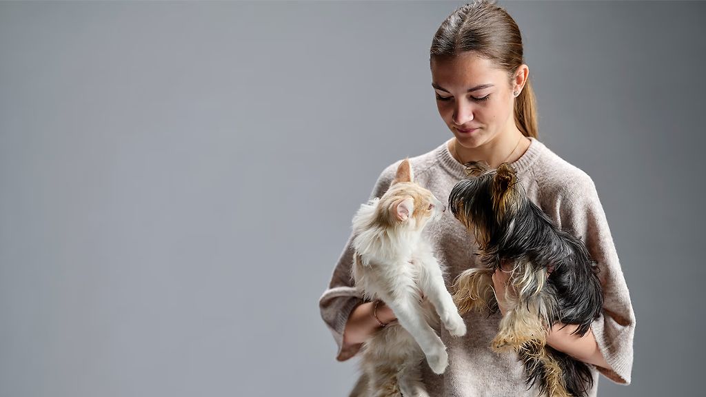 Trygghet för hund & katt