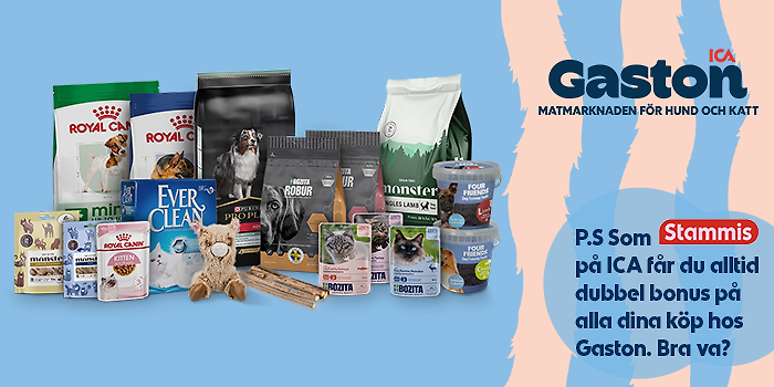 Matmarknaden för hund och katt