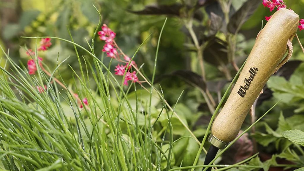 Få 20% hos Weibulls!