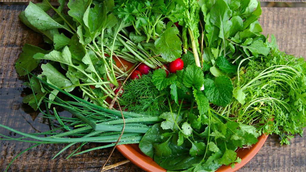 Pierwsze wiosenne warzywa