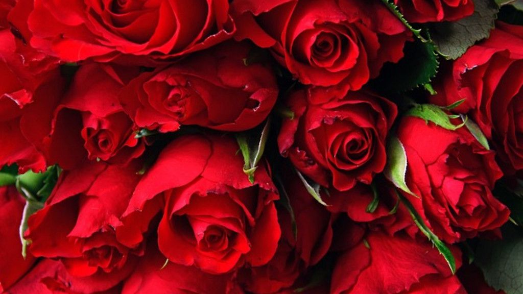 Blomsterbud fyllda med kärlek!