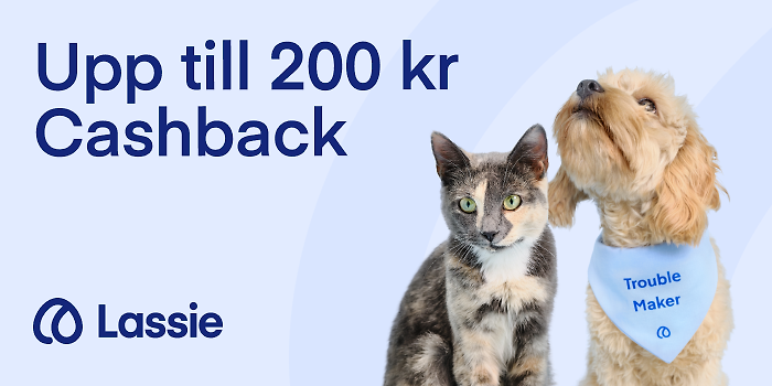 Få 200 kr cashback!