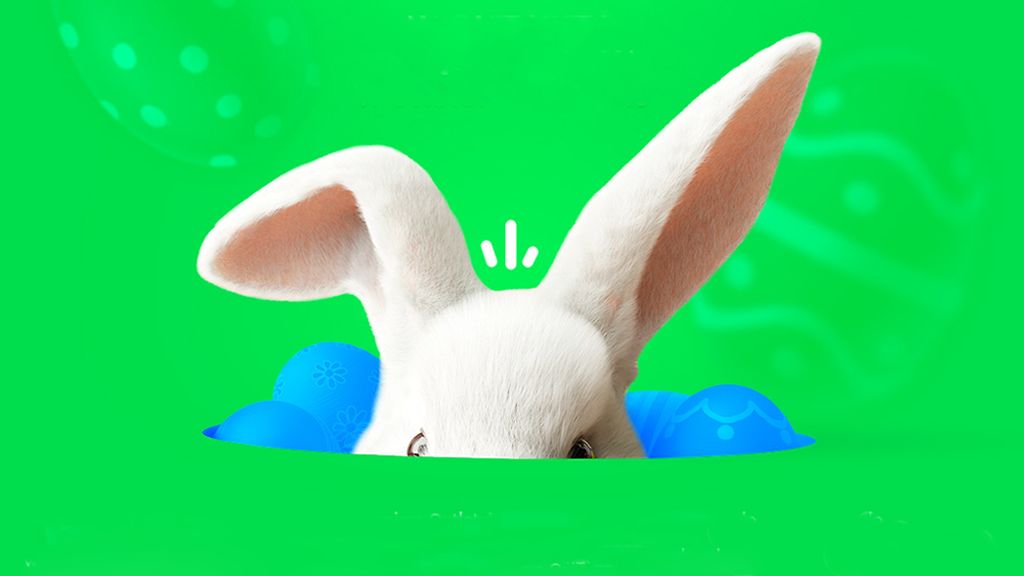 Złap okazje od zajączka