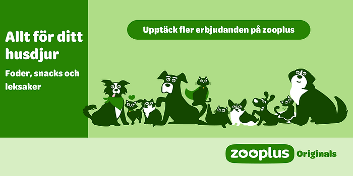 Nya favoriter med zooplus originals!