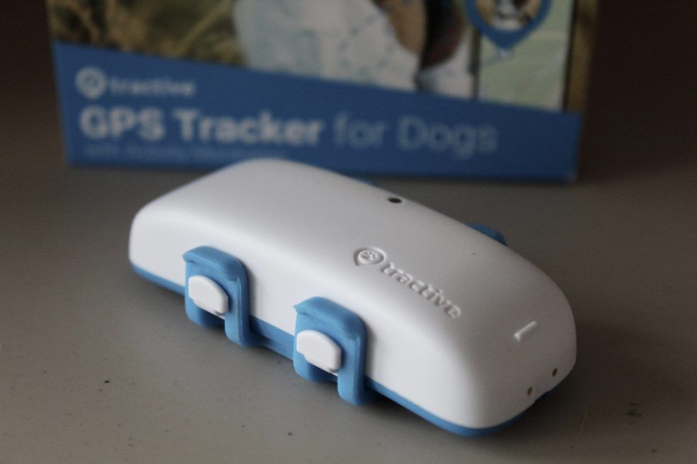 Få full koll på din vovve med hjälp av en GPS från Tractive