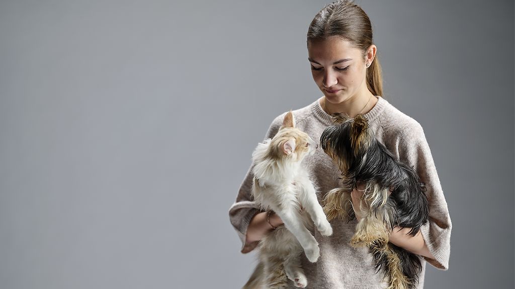 Försäkra hund, katt eller hela flocken