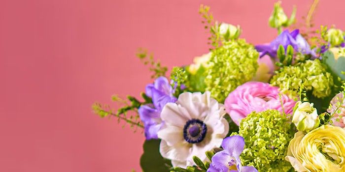 Blommor och gratis choklad!