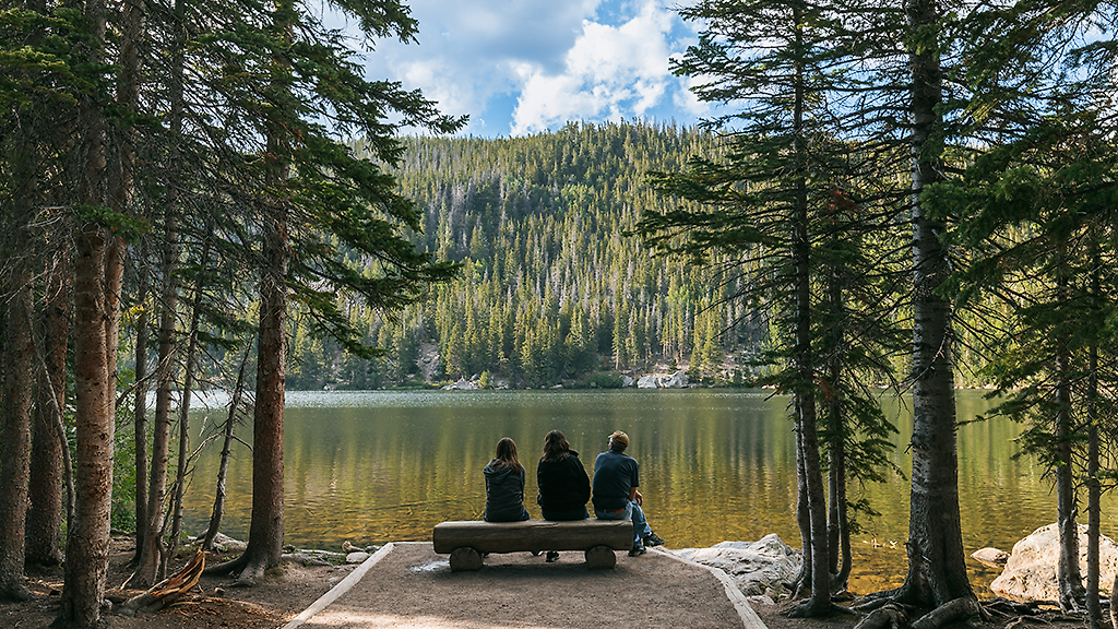 Drömmer du om att resa?