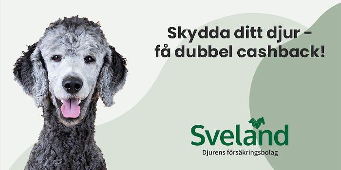 Ditt djur förtjänar det bästa