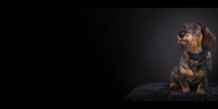 Upp till 30% under hela november