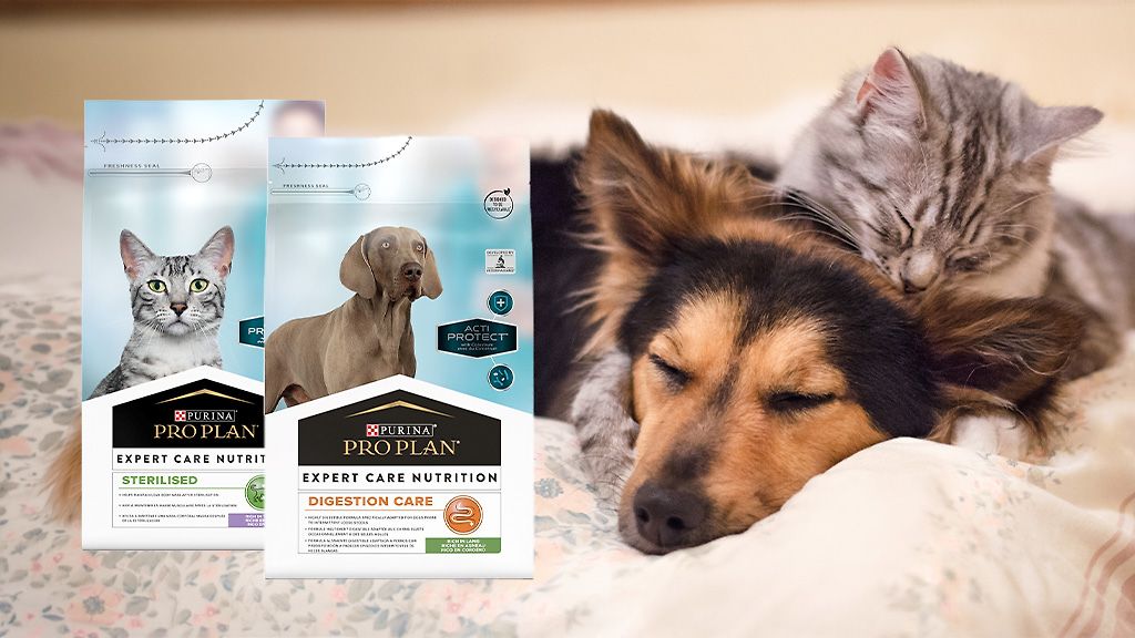 25% på Purina