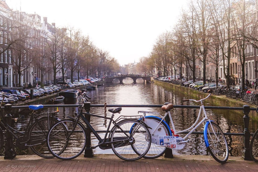 Amsterdam för familjer – Topp 7 sevärdheter