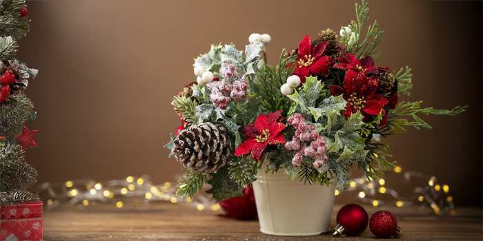 Klassiska julblommor för varje hem