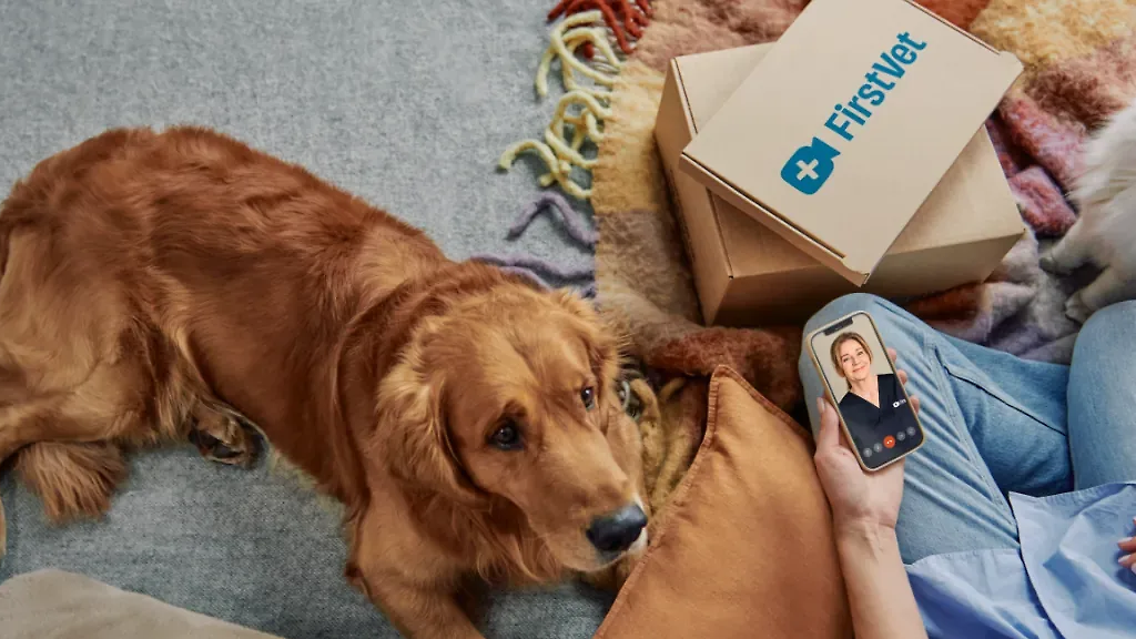 De bästa produkterna för ditt husdjur!