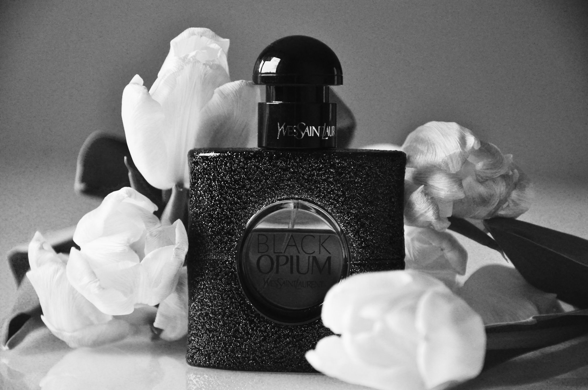 Yves Saint Laurent
