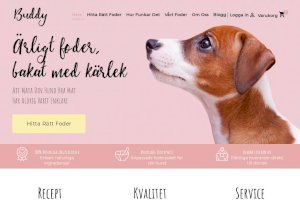 Buddypetfoods